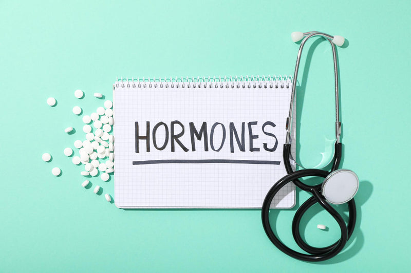 The Hidden Link Between Protein and Hormonal Imbalance