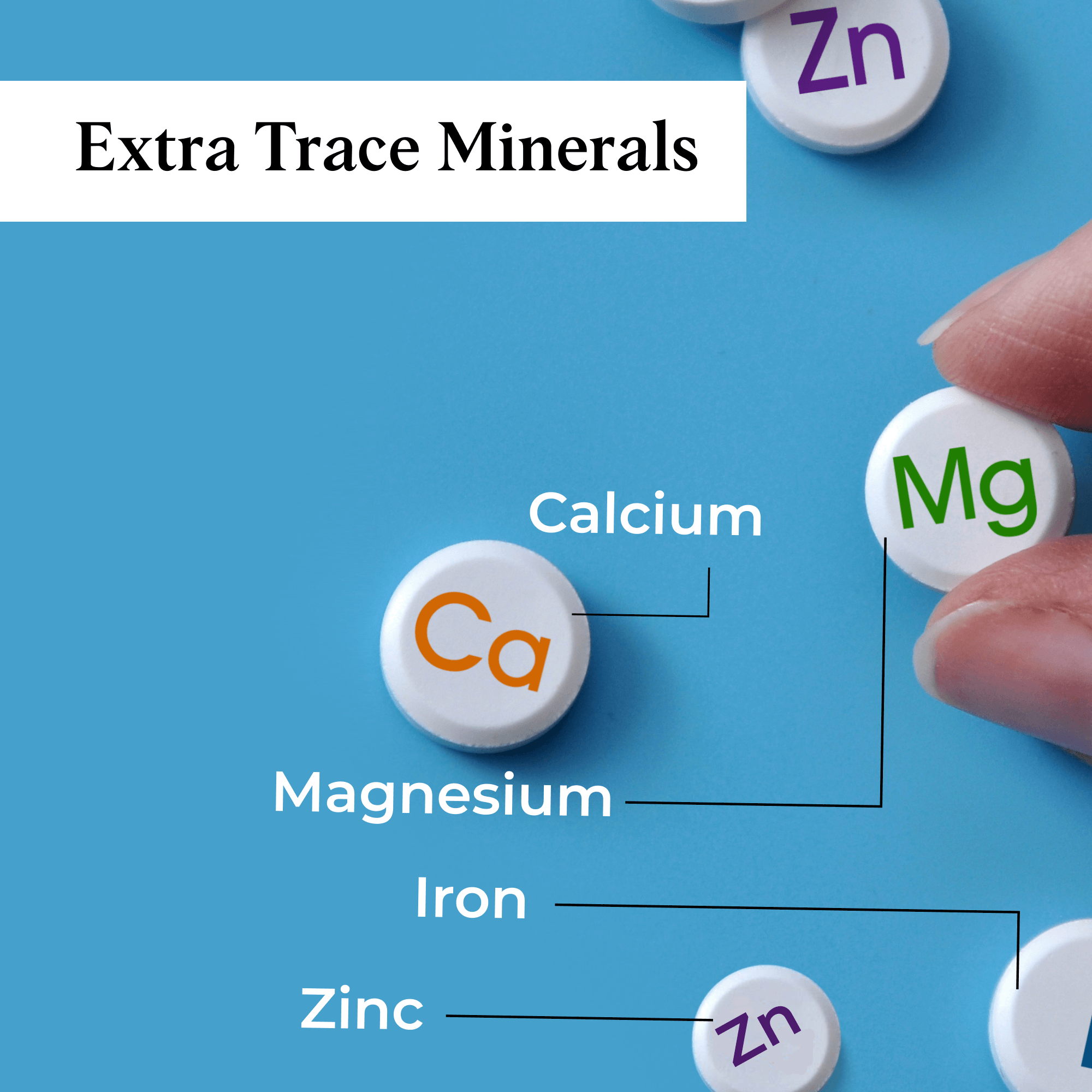 Ecowell Pure Himalayan Shilajit Resin