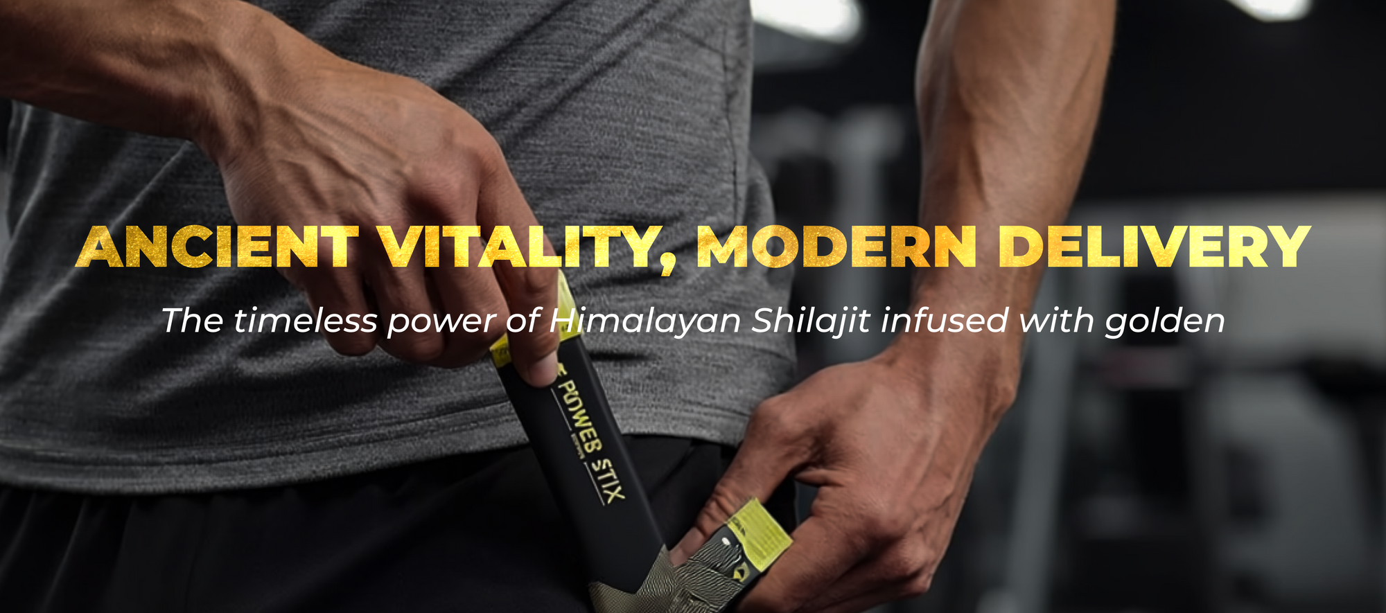 POWER STIX Shilajit Honey Stick | Natural Wellness Support | Buy Online India