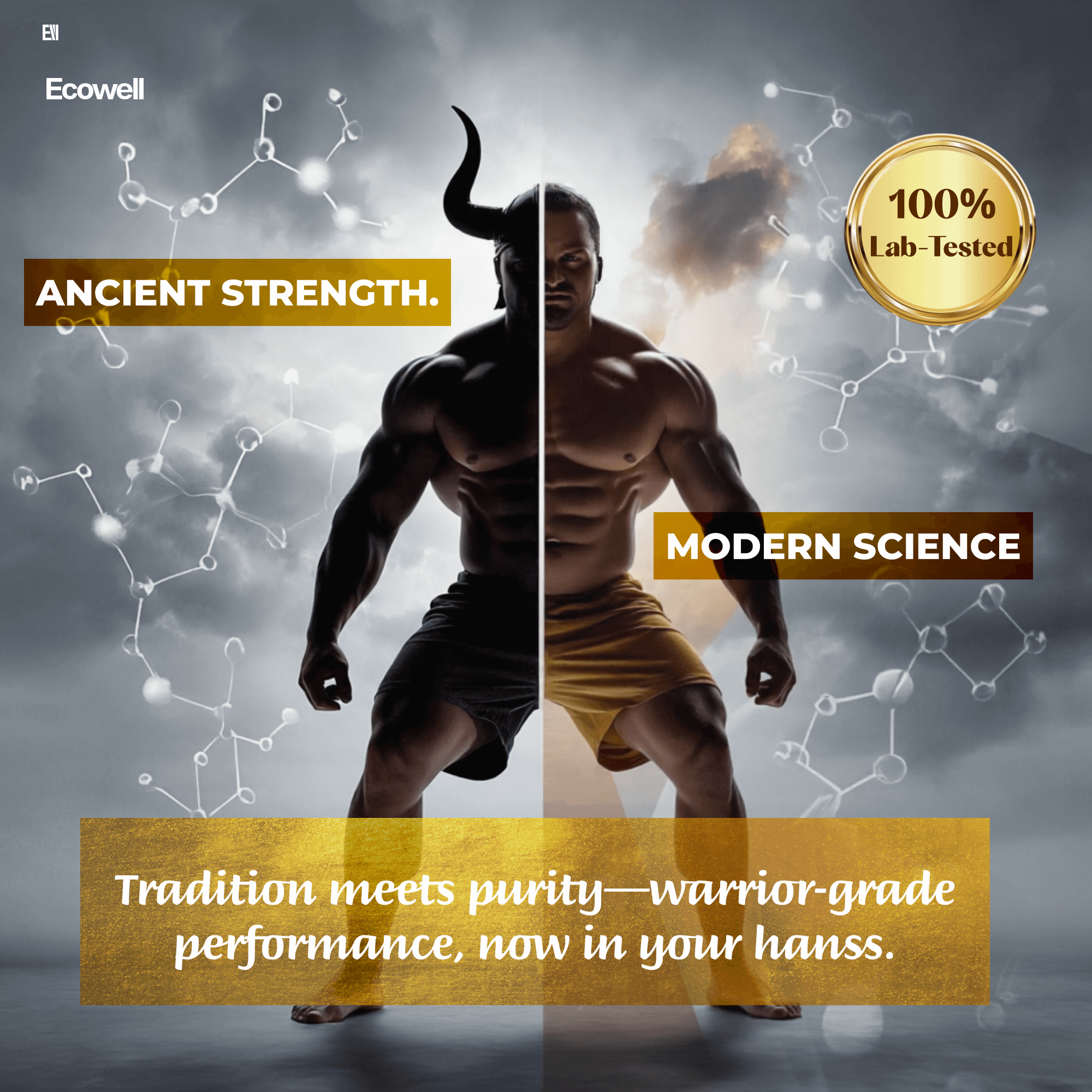 Ecowell Pure Himalayan Shilajit Resin