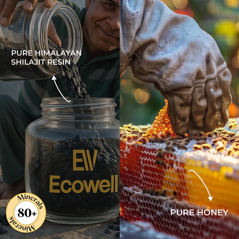 Two images showing a jar of pure Himalayan Shilajit Resin and honeycomb with honey, labeled 'Ecowell' and 'Pure Honey'.