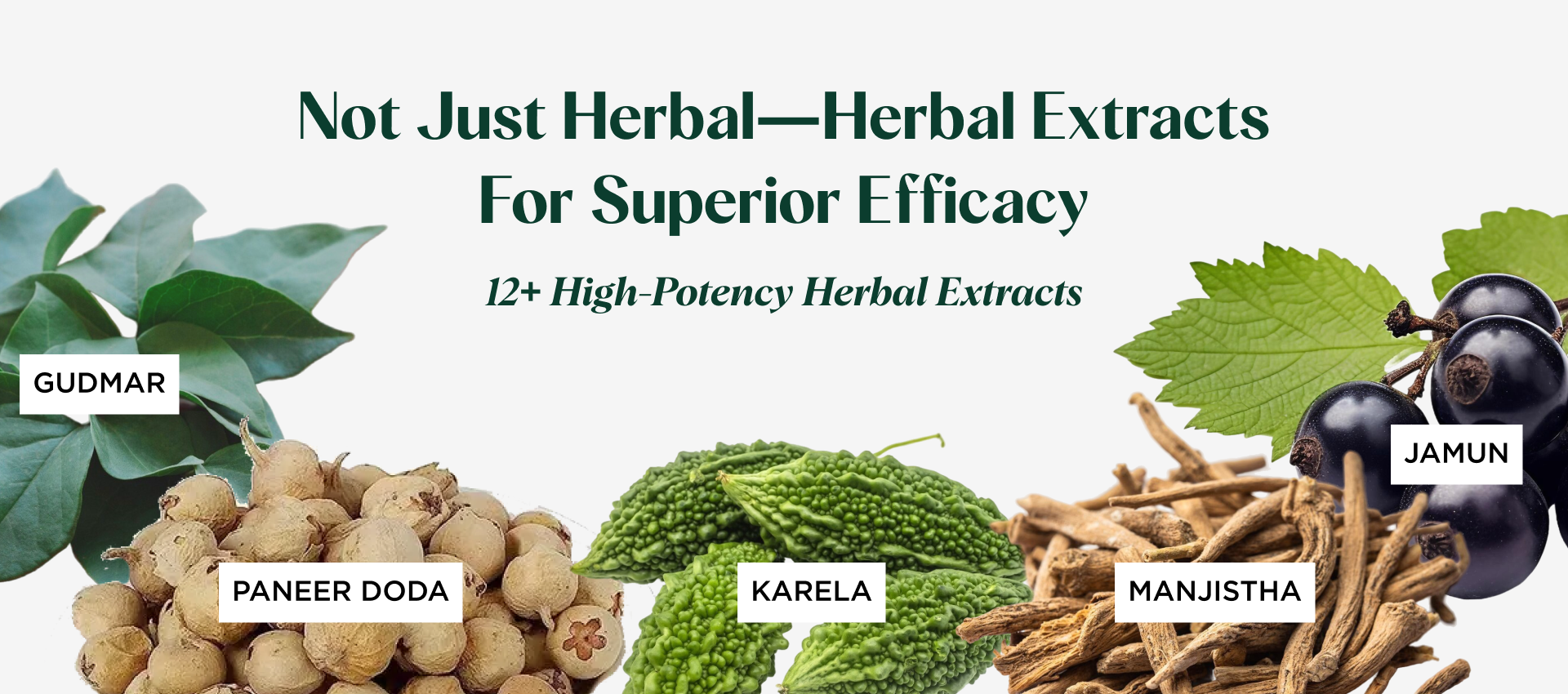 Natural herbal extracts in Diabevita Herbal Blood Sugar Support -Pre Diabetic & type 2 supplement powder
Gudmar (Gymnema sylvestre),
Paneer doda (Withania coagulans),
Karela (Momordica charantia),
Mnjistha (Rubia cordifolia),
Jamun (Syzygium cumini)
