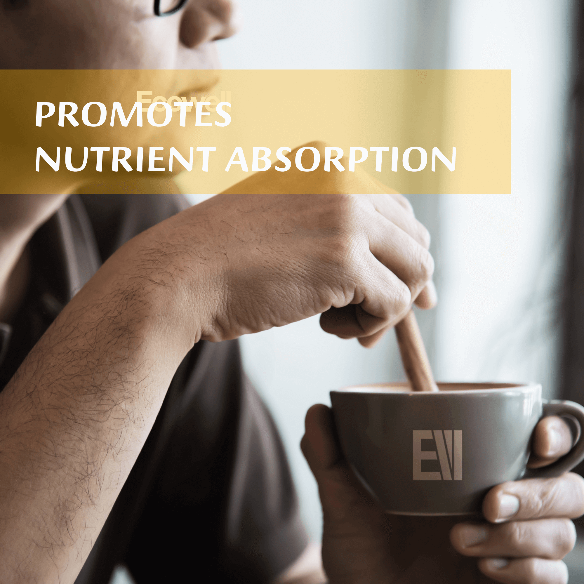 Ecowell Pure Himalayan Shilajit Resin