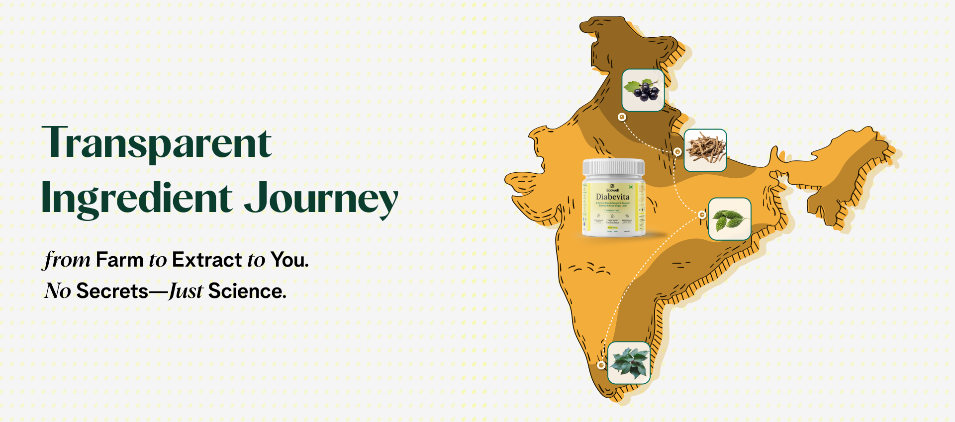 Map of India with a bottle and icons on a white background, promoting a transparent ingredient journey.
Transparent Ingredient Journey From farm to extract to you.
