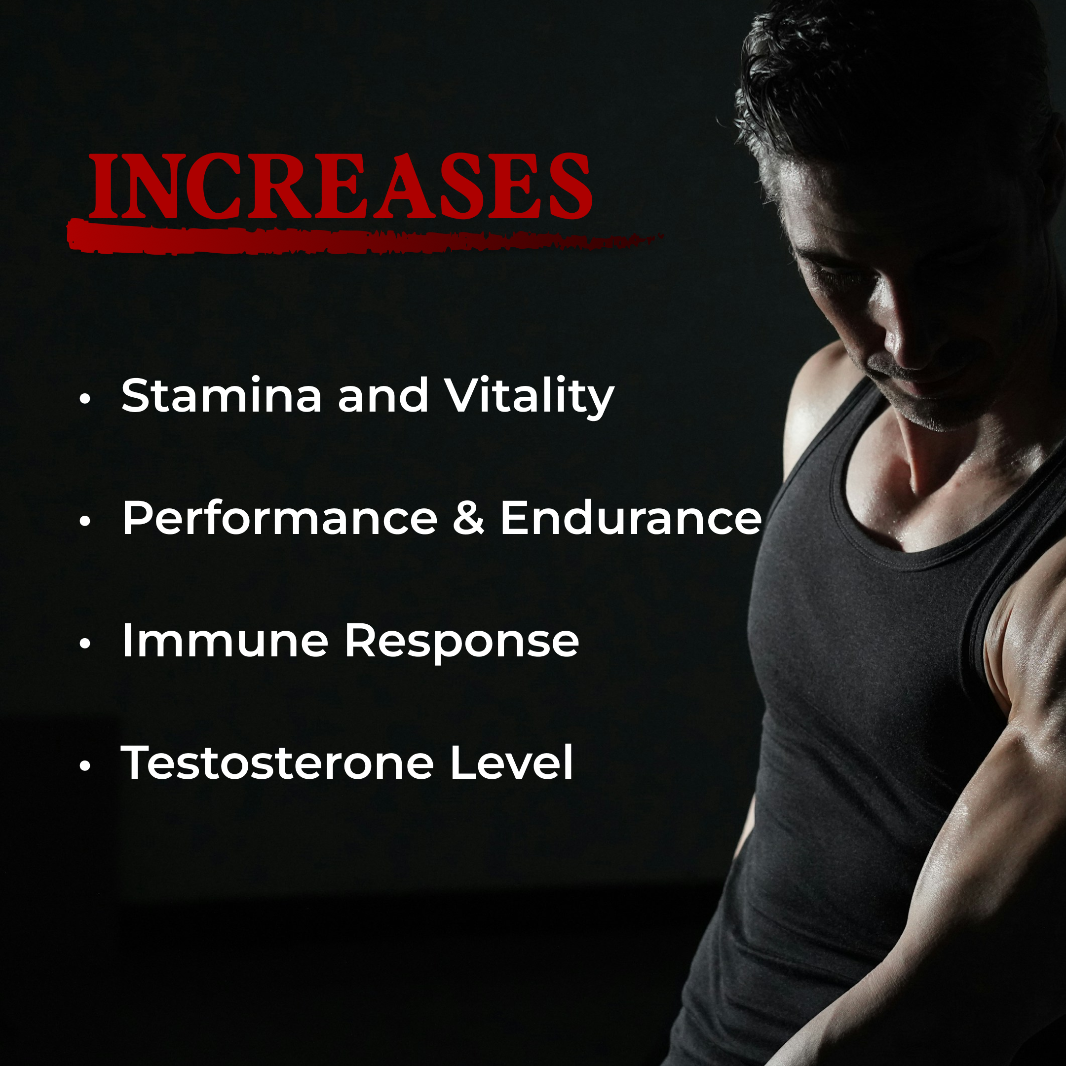 Image highlighting benefits of Stamina Support Formula: increases stamina, vitality, performance, endurance, immune response, and testosterone levels.