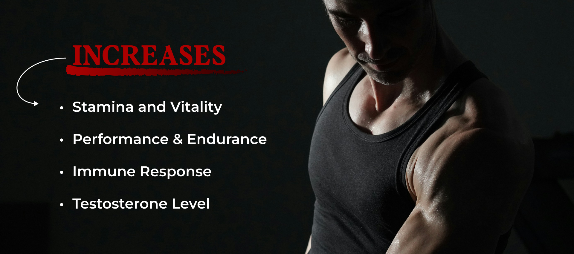 Stamina and Vitality
Performance & Endurance
Immune Response
increase Testosterone  level