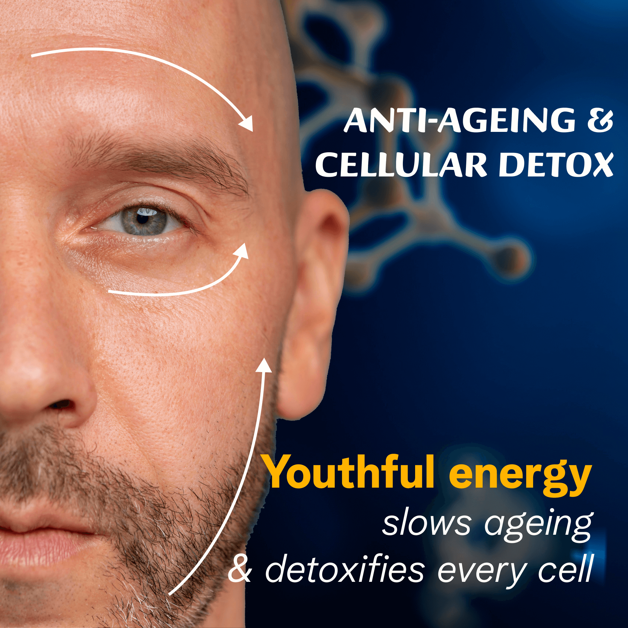 Ecowell Pure Himalayan Shilajit Resin