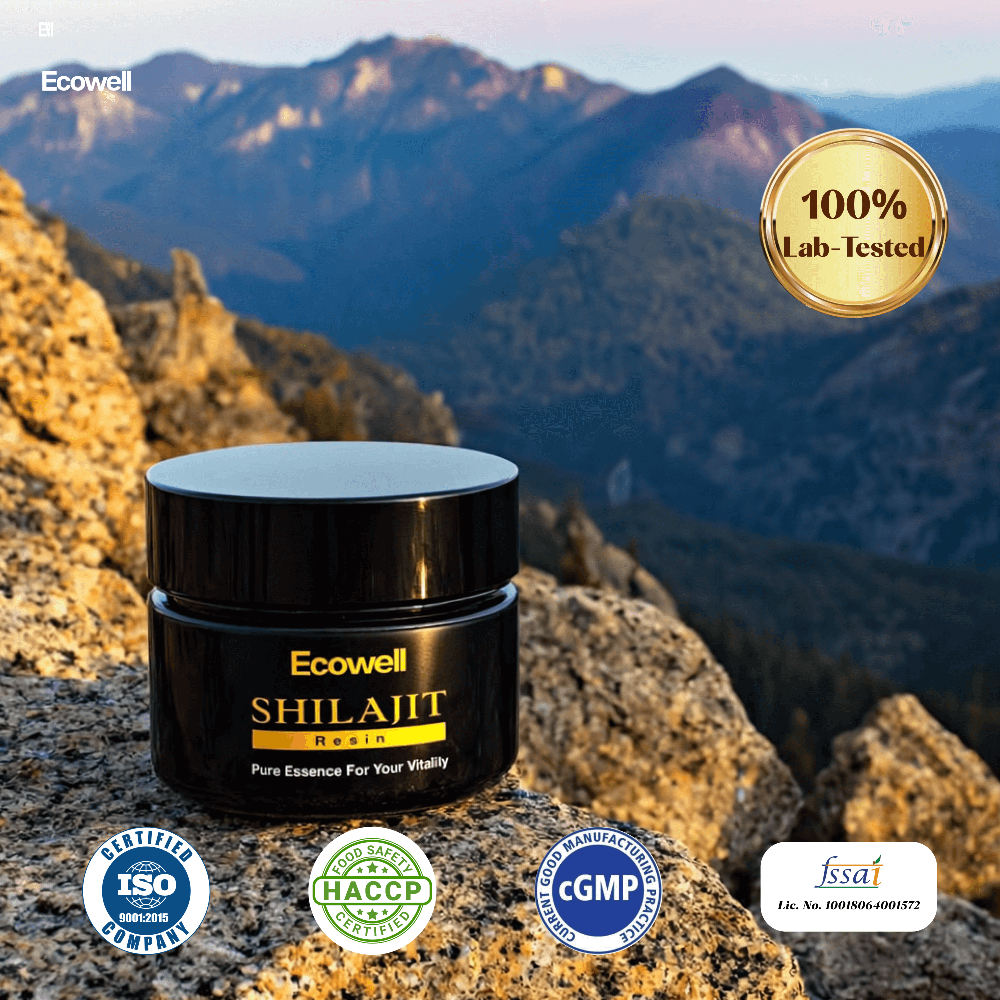 Ecowell Pure Himalayan Shilajit Resin