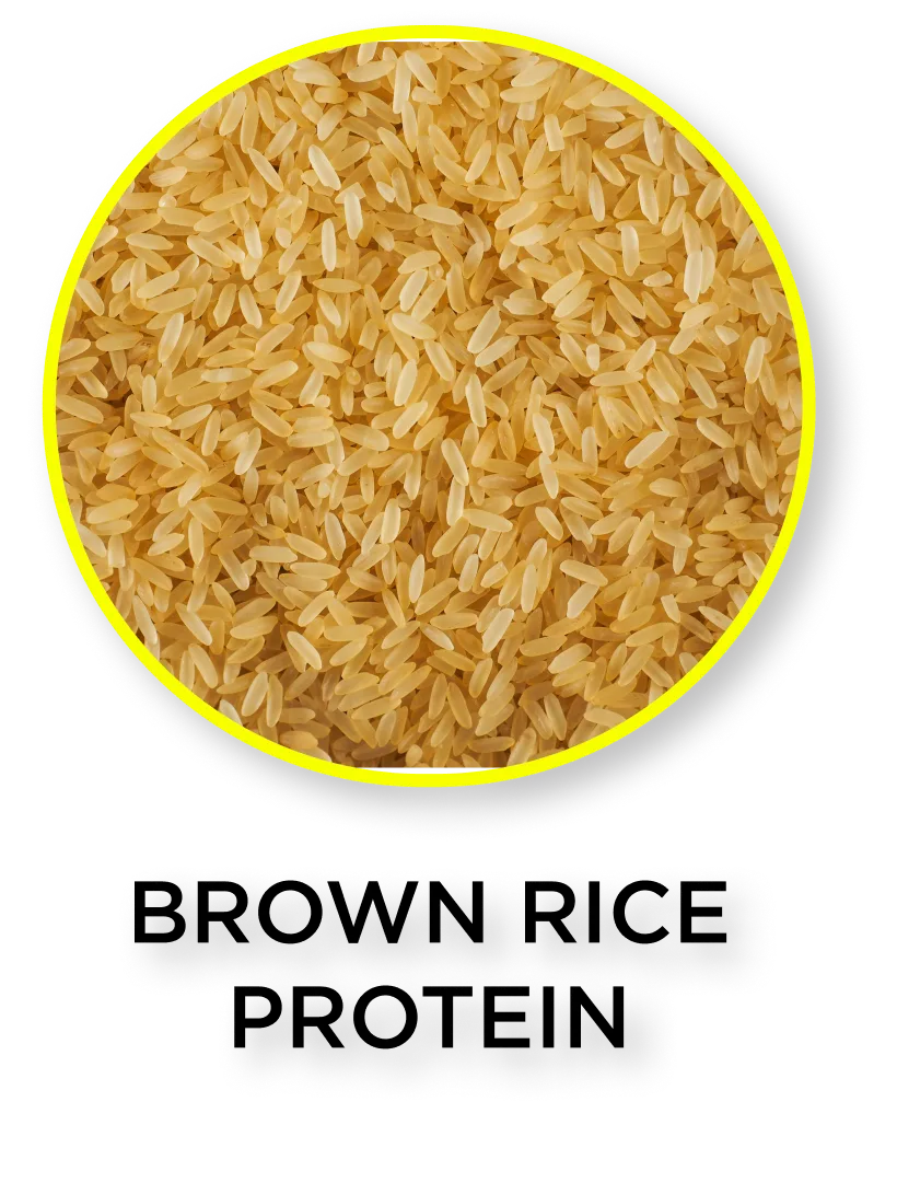 Brown rice protein