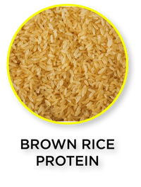 Brown rice protein
