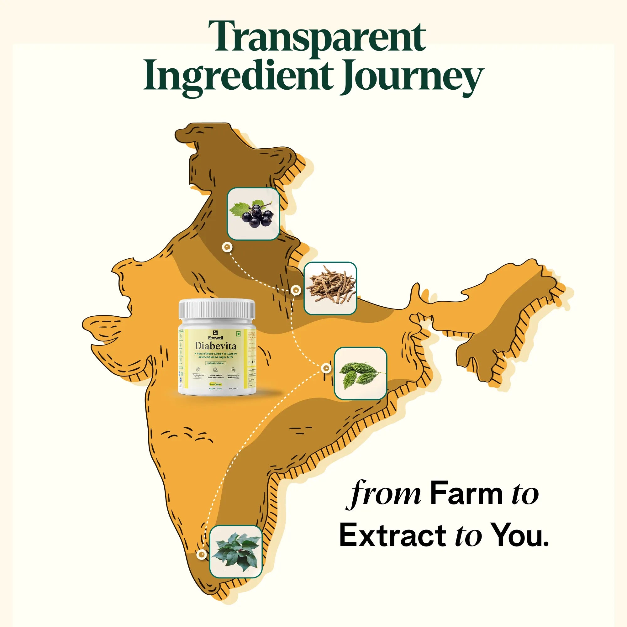 Map of India with DiabeVita supplement and transparent ingredient journey icons.