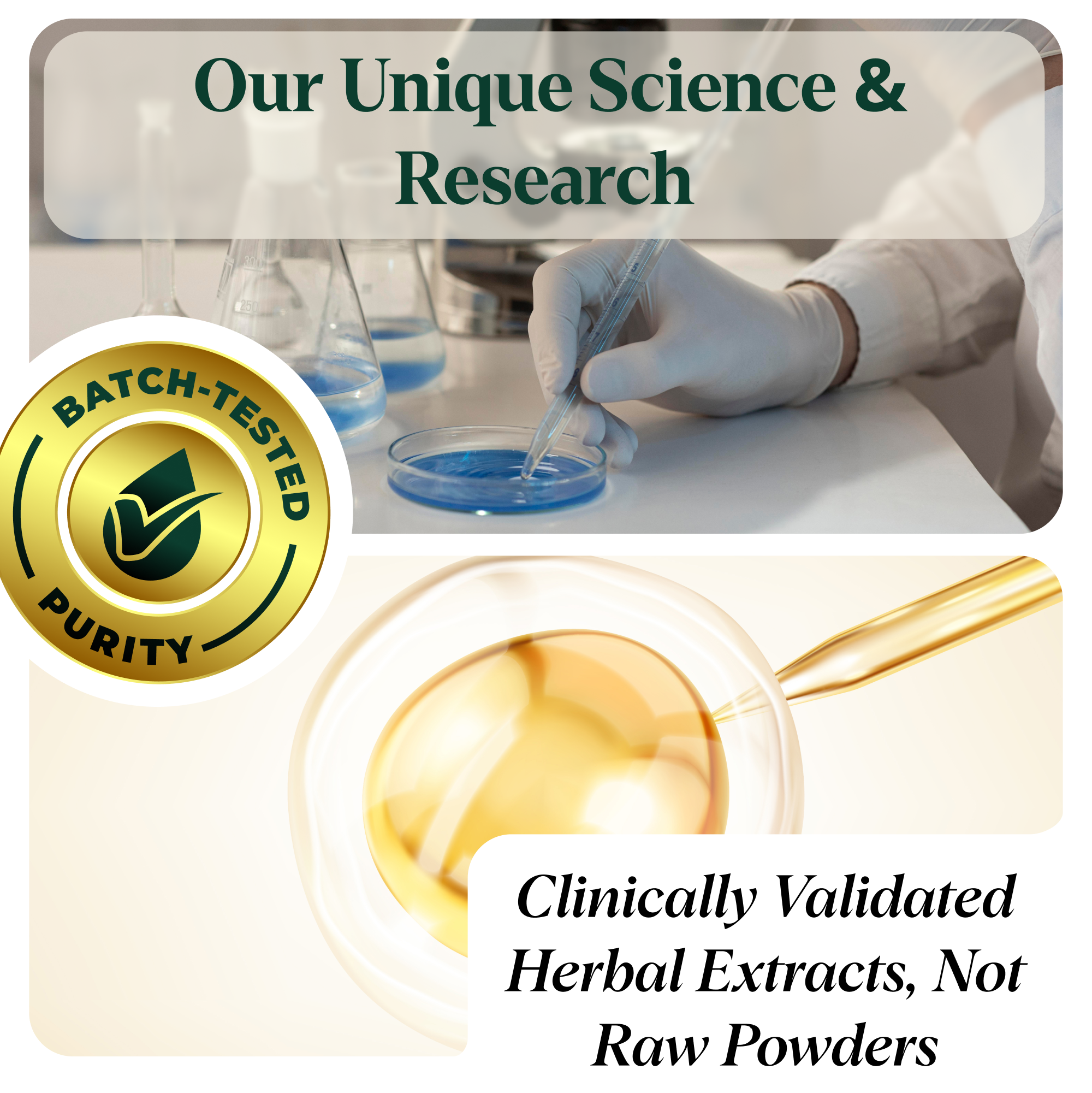 Scientist conducting research on herbal extracts with batch-tested purity for health supplements.