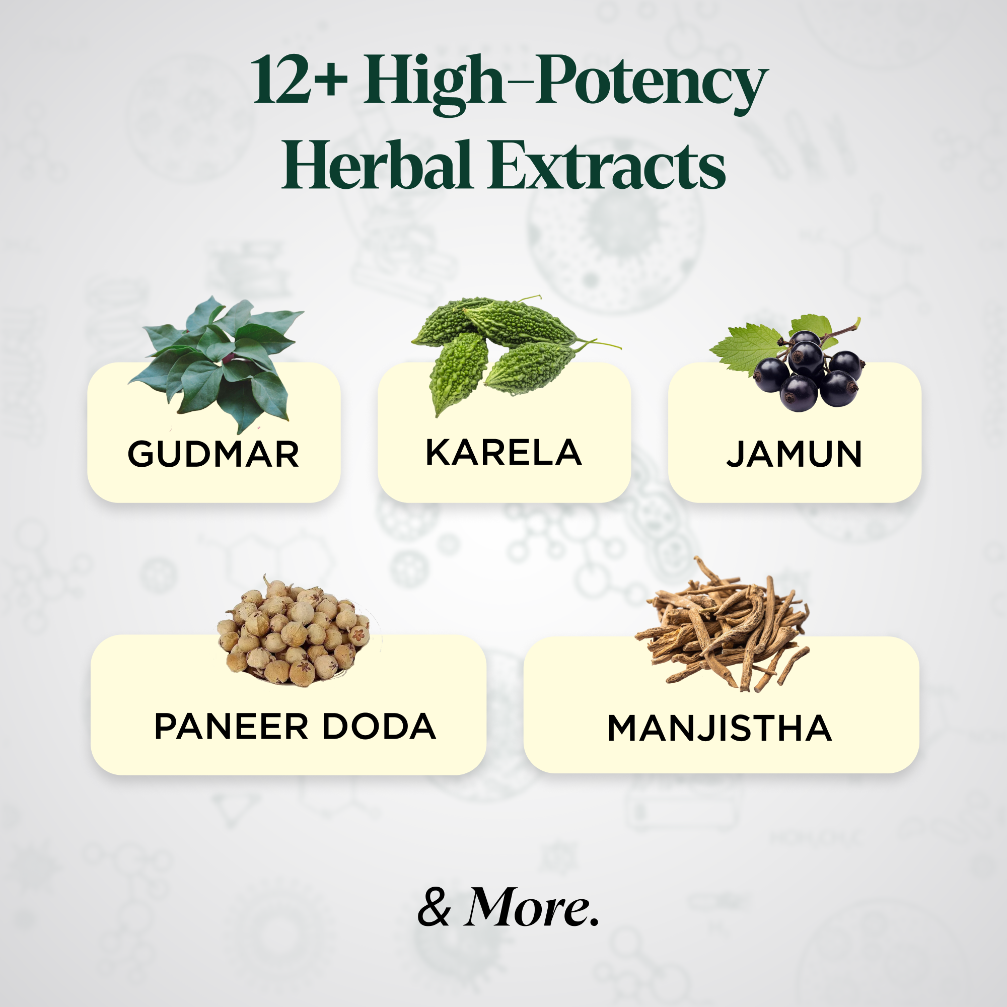 12 high-potency herbal extracts including Gudmar, Karela, Jamun, Paneer Doda, and Manjistha for blood sugar support.