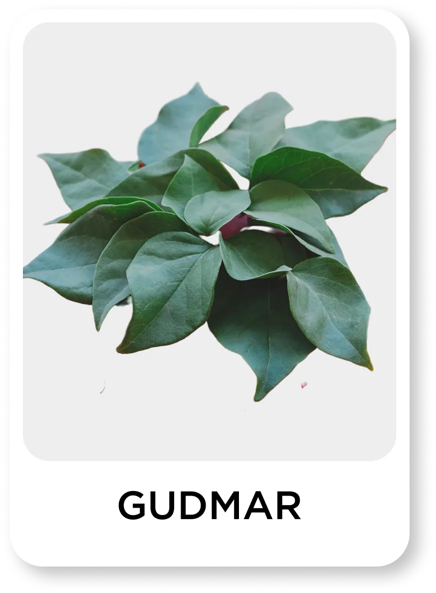 Green plant labeled 'Gudmar' on a white background