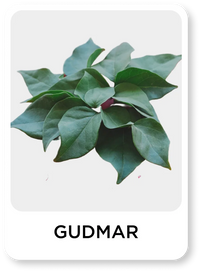 Green plant labeled 'Gudmar' on a white background