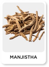 Dried roots of Manjistha on a white background