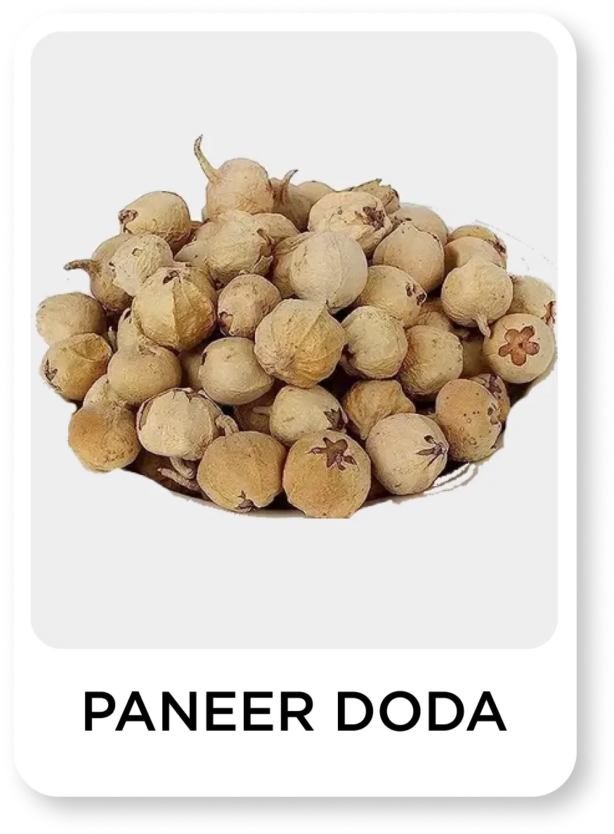 Pile of paneer doda with 'Paneer Doda' text below on a white background