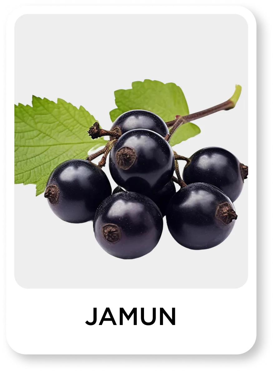 Illustration of jamun fruits with leaves on a white background