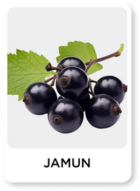 Illustration of jamun fruits with leaves on a white background