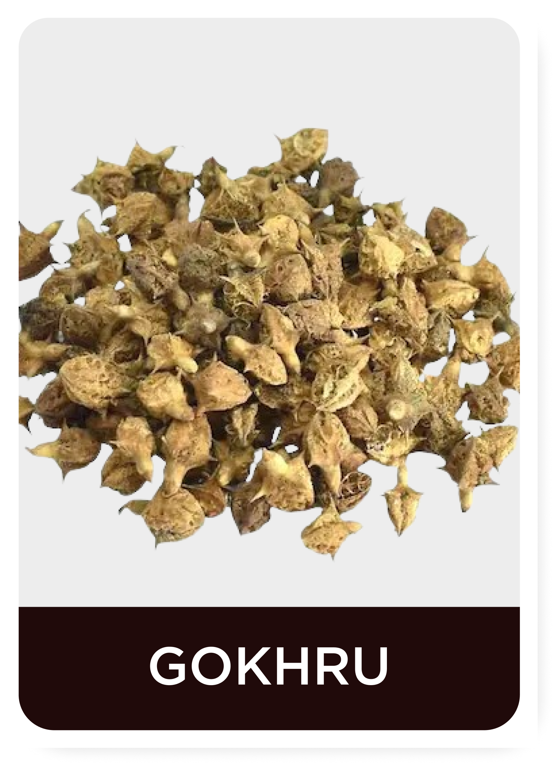Dried gokhru spice on a white background with 'GOKHRU (Tribulus Terrestris)' label.