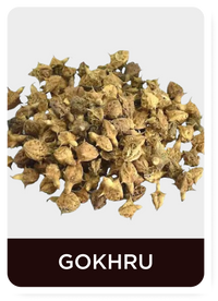 Dried gokhru spice on a white background with 'GOKHRU (Tribulus Terrestris)' label.