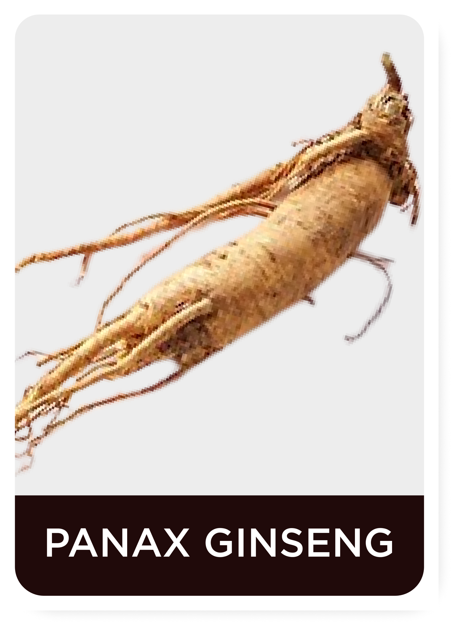 Panax Ginseng root on a white background with 'Panax Ginseng (Korean Ginseng)' text below.