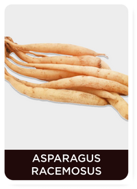 Shatavari (Asparagus racemosus)on a white background with text label