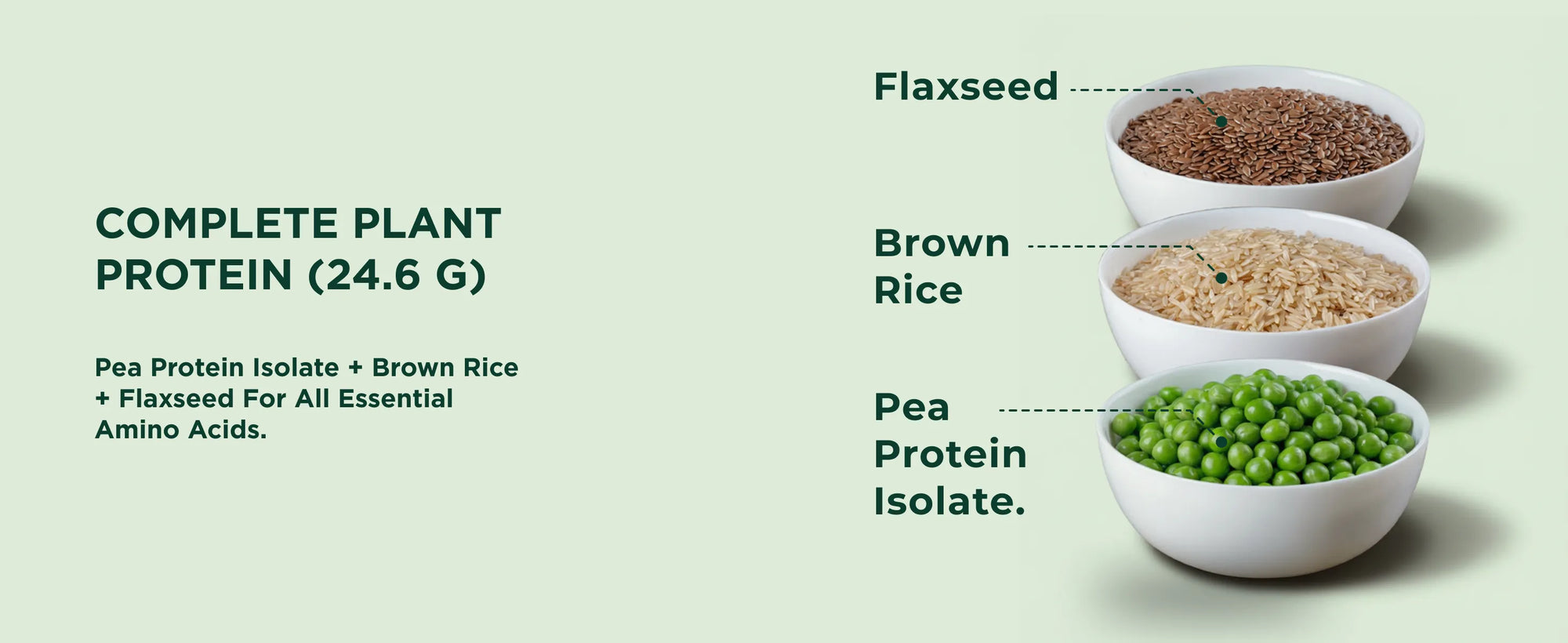 Complete plant protien for all amino acids