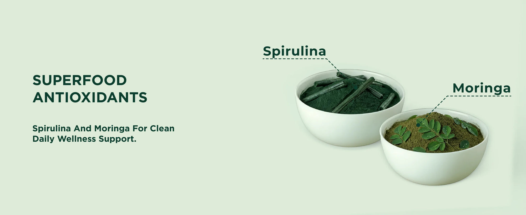 Two bowls of Spirulina and Moringa on a light green background with text about superfood antioxidants.