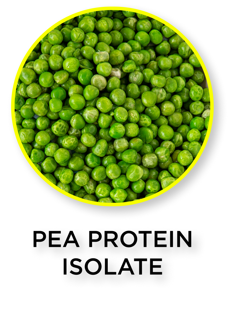 Green pea protein