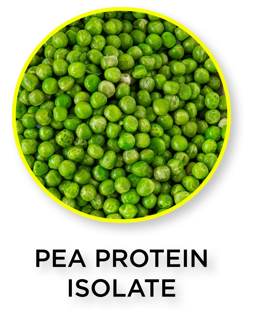 Green pea protein isolate in a bowl with text overlay on a white background