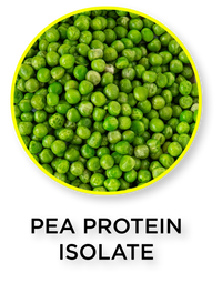 Green pea protein isolate in a bowl with text overlay on a white background
