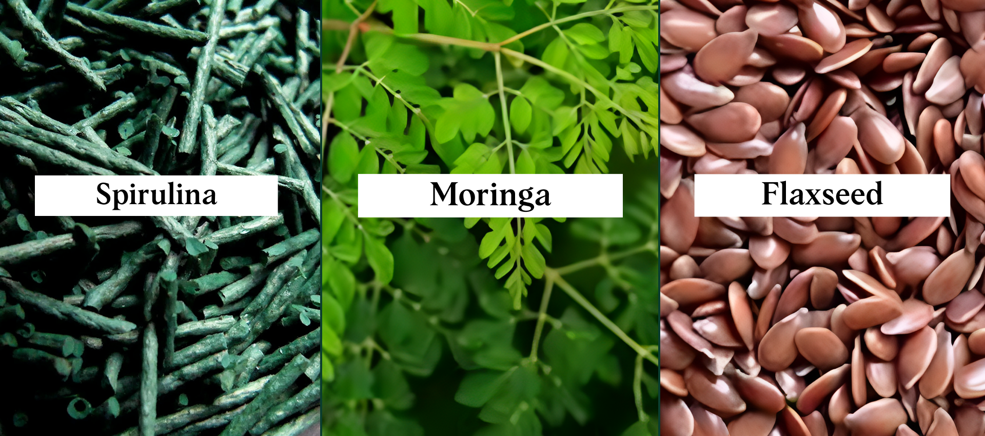 Three different types of superfoods labeled 'Spirulina (blue-green algae)', 'Moringa (drumstick tree or horseradish tree)', and 'Flaxseed (linseed)'.