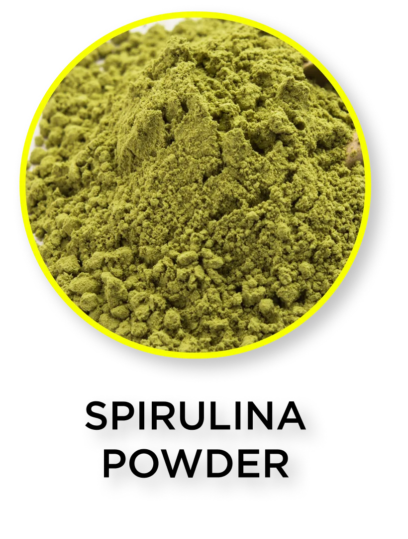 Spirulina Powder (Arthrospira platensis)