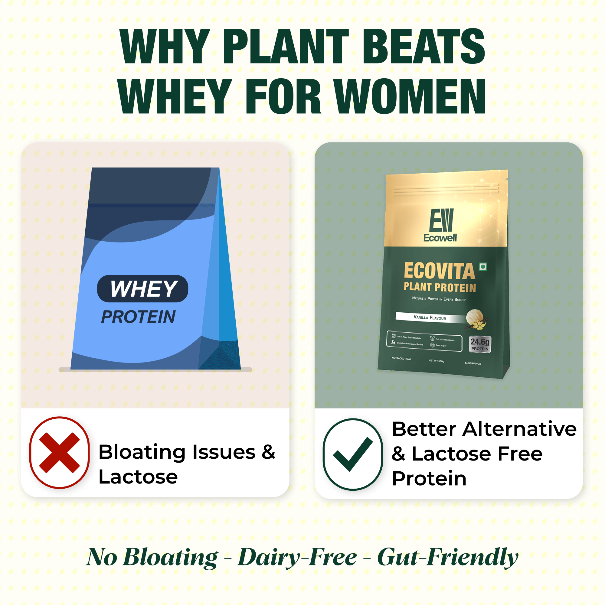 Plant Protein Powder -Ecovita | Vegan & Plant based Protein