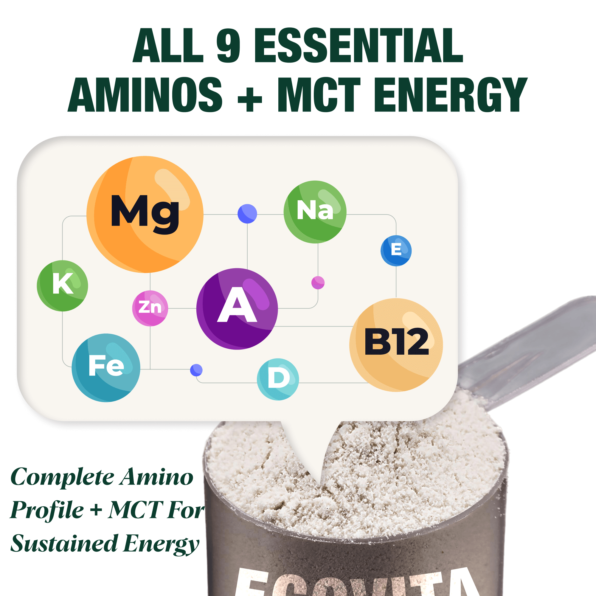 Plant Protein Powder -Ecovita | Vegan & Plant based Protein