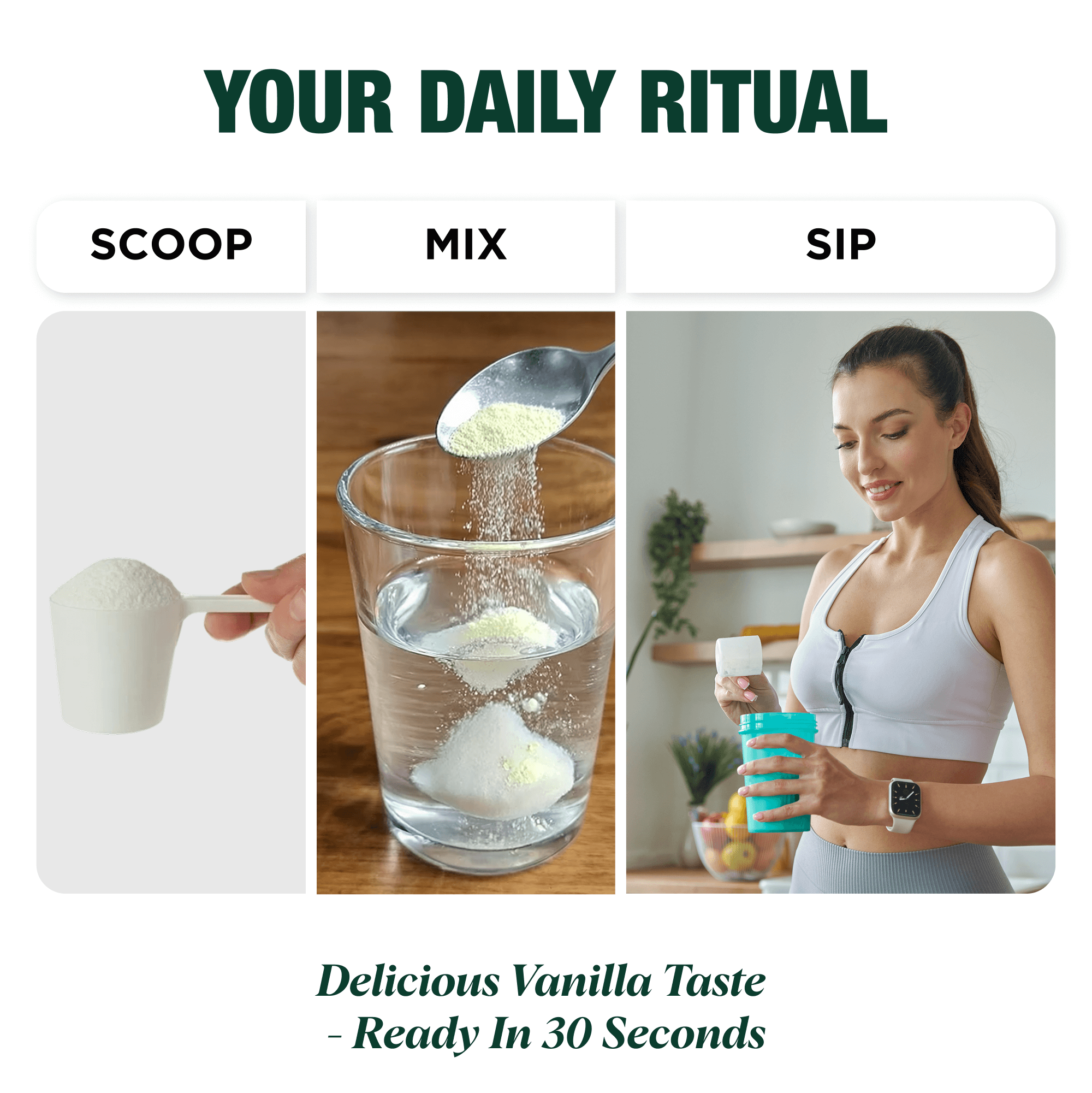 Plant Protein Powder -Ecovita | Vegan & Plant based Protein